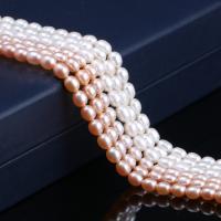 Cultured Rice Freshwater Pearl Beads DIY 5-6mm Sold Per Approx 15 Inch Strand