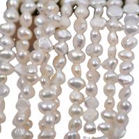 Keishi Tenyésztett édesvízi gyöngy Gyöngyök, Édesvízi gyöngy, DIY, fehér, 3-4mm, Naponta eladott 38 cm Strand