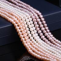 Brambor pěstované sladkovodní perle, Sladkovodní Pearl, DIY, více barev na výběr, 7-8mm, Prodáno za Cca 15 inch Strand
