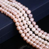 Brambor pěstované sladkovodní perle, Sladkovodní Pearl, DIY, více barev na výběr, 10-11mm, Prodáno za Cca 15 inch Strand