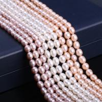 Cultured Rice Freshwater Pearl Beads DIY 7-7.5mm Sold Per Approx 15 Inch Strand