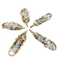 Gėlo vandens perlų pakabučiai, Derva, su perlas & Geležies, aukso spalva padengtas, unisex, mišrios spalvos, 15-20mmx52-60mm, Pardavė PC