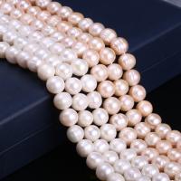 Bulvių išauginti gėlavandenių perlų karoliukai, Gėlo vandens perlų, Bulvė, Pasidaryk pats, daugiau spalvų pasirinkimas, 11-12mm, Parduota už 38 cm Strand