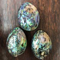 Pingentes naturais da concha de abalone, Concha alabone, cores misturadas, 40x55-45x60mm, vendido por PC