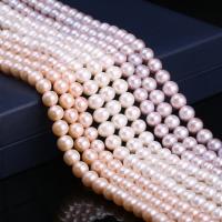 Brambor pěstované sladkovodní perle, Sladkovodní Pearl, DIY, více barev na výběr, 9-10mm, Prodáno za Cca 15 inch Strand