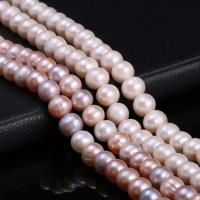Bulvių išauginti gėlavandenių perlų karoliukai, Gėlo vandens perlų, Bulvė, Pasidaryk pats, daugiau spalvų pasirinkimas, 10-11mm, Parduota už Apytiksliai 15 Inch Strand