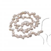 Keishi ferskvandskulturperle Beads, Ferskvandsperle, mode smykker & du kan DIY & forskellig størrelse for valg, hvid, Solgt af Strand