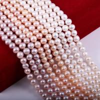 Cultured Button Freshwater Pearl Beads DIY Sold Per 14.96 Inch Strand