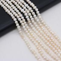 Tlačítko kultivované sladkovodní Pearl Beads, DIY, bílý, 4-5mm, Prodáno za 36 cm Strand