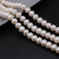 Tlačítko kultivované sladkovodní Pearl Beads, DIY, bílý,  9-10mm, Prodáno za 36 cm Strand