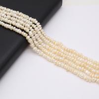Tlačítko kultivované sladkovodní Pearl Beads, DIY, bílý, 4-5mm, Prodáno za 36 cm Strand