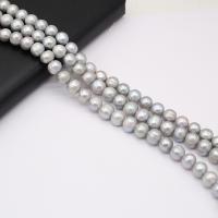 Tlačítko kultivované sladkovodní Pearl Beads, DIY, šedá, 10-11mm, Prodáno za 36 cm Strand