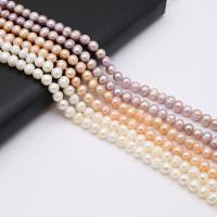 Knapp odlad sötvattenspärla pärlor, Freshwater Pearl, DIY, fler färger för val, 6-7mm, Såld Per 36 cm Strand