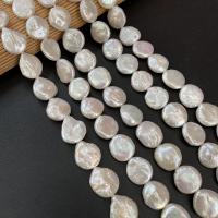 Coin Gekweekte Zoetwater Parel kralen, knopvorm, DIY, wit, 14-15mm, Per verkocht Ca 15 inch Strand