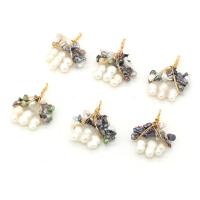 Ciondoli perle d'acqua dolci, ferro, with perla d'acquadolce coltivata naturalmente, Irregolare, colori misti, 30x40mm, Venduto da PC