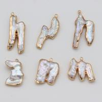 Sladkovodní Pearl Přívěsky, s Mosaz, Keishi, barva pozlacený, módní šperky & DIY, 10x20-15x25mm, Prodáno By PC
