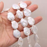 Keishi ferskvandskulturperle Beads, Ferskvandsperle, Uregelmæssig, du kan DIY, hvid, 16x17mm, Solgt Per Ca. 15 inch Strand