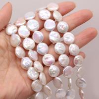 Coin ferskvandskulturperle Beads, Ferskvandsperle, Uregelmæssig, du kan DIY, hvid, 12-13mm, Solgt Per Ca. 15 inch Strand