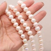 Cultured Round Freshwater Pearl Beads DIY white 9-10mm Sold Per Approx 14.17 Inch Strand