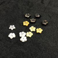 Prirodni boji Shell perle, Školjka, Cvijet, uglađen, možete DIY, više boja za izbor, Prodano By PC