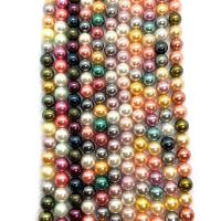 South Sea Shell Beads Shell Pearl polished DIY 6-12mm Sold Per 14.96 Inch Strand