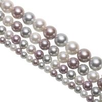 South Sea Shell Beads Shell Pearl Round plated DIY mixed colors Sold Per Approx 15.75 Inch Strand