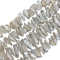 Hodowlane perły słodkowodne, Perła naturalna słodkowodna, Nieregularne, DIY, biały,  7-9mm, sprzedawane na około 15 cal Strand