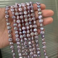 Keishi ferskvandskulturperle Beads, Ferskvandsperle, Uregelmæssig, du kan DIY, lilla, 7mm, Solgt Per Ca. 15 inch Strand