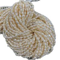 Cultured Rice Freshwater Pearl Beads DIY white 4mm Sold Per Approx 13.39 Inch Strand