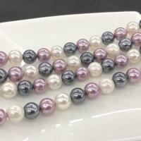 Shell Pearl grânulos, miçangas, Roda, polido, DIY, cores misturadas, 10mm, vendido para Aprox 15 inchaltura Strand