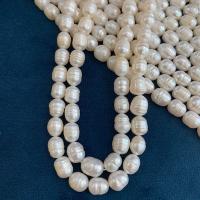 Spłaszczone koraliki z pereł słodkowodnych hodowlanych, Perła, DIY, biały, 8mm, sprzedawane na około 14.17 cal Strand