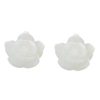 Školjka Perla Cap, Cvijet, bijel, 10x10x3mm, Rupa:Približno 1mm, Prodano By PC