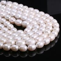 Riso coltivato in perla d'acqua dolce, perla d'acquadolce coltivata naturalmente, DIY, bianco, 11-12mm, Venduto per 14.96 pollice filo