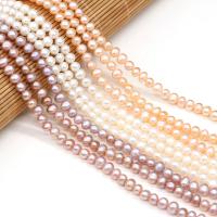Bulvių išauginti gėlavandenių perlų karoliukai, Gėlo vandens perlų, Pasidaryk pats, daugiau spalvų pasirinkimas, 5-5.5mm, Parduota už 14.96 Inch Strand