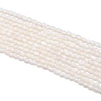 Ris odlad sötvattenspärla pärlor, Freshwater Pearl, DIY, vit, 2-2.5mm, Såld Per 14.96 inch Strand