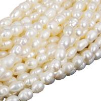 Riso coltivato in perla d'acqua dolce, perla d'acquadolce coltivata naturalmente, DIY, bianco, 4-5mm, Venduto per 14.96 pollice filo