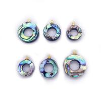 Natural Abalone Shell Pendants with Brass Donut gold color plated DIY 13-18mm Sold By PC