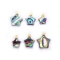Natural Abalone Shell Pendants with Brass Star gold color plated DIY 10-15mm Sold By PC