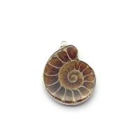 Natural Trumpet Shell Pendants with Zinc Alloy Snail mixed colors 20x40- Sold By PC