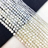 Perles de coquillage noire, Horseshoe-Shell, Rond, DIY & normes différentes pour le choix, plus de couleurs à choisir, Vendu par Environ 15 pouce brin