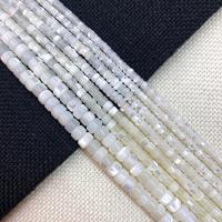 Perla, Kolona, možete DIY & različite veličine za izbor, bijel, Prodano Per Približno 15 inčni Strand