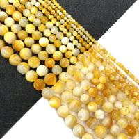 Naturlige gule Shell Perler, Runde, du kan DIY & forskellig størrelse for valg, Solgt Per Ca. 15 inch Strand