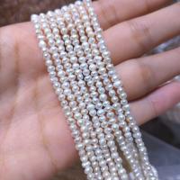 Keishi kultivované sladkovodní perle, Sladkovodní Pearl, Nepravidelné, DIY, bílý, 2-3mm, Prodáno za Cca 15 inch Strand