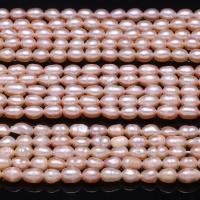 Perlas Arroz Freshwater, Perlas cultivadas de agua dulce, diferentes categorias para opción & Bricolaje, Rosado, 4-5mm, aproximado 54PCs/Sarta, Vendido por Sarta