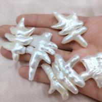 Naturalne perły słodkowodne perełki luźne, Perła naturalna słodkowodna, Keishi, DIY, biały, 20mm, sprzedane przez PC
