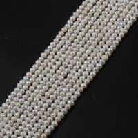 Brambor pěstované sladkovodní perle, Sladkovodní Pearl, DIY & různé styly pro výběr, bílý, 3.5-4mm, Prodáno za 14.96 inch Strand