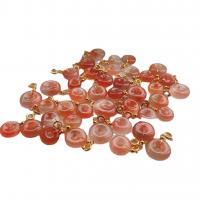 Yanyuan Agate Pendant with Zinc Alloy red 10-25mm Sold By PC