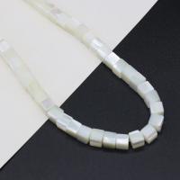 Naturlig Freshwater Shell Perler, Square, du kan DIY, hvid, 6mm, Solgt Per Ca. 38 cm Strand