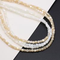 Prirodni Slatkovodni Shell perle, Školjka, Trg, možete DIY, više boja za izbor, 2-12mm, Prodano Per Približno 38 cm Strand