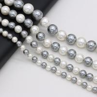 Shell Pearl Beads Round DIY Sold Per Approx 38 cm Strand